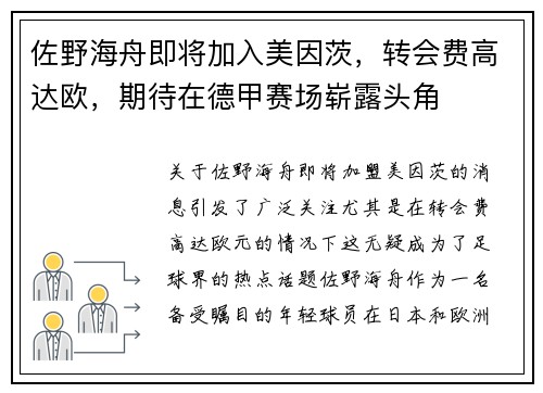 佐野海舟即将加入美因茨，转会费高达欧，期待在德甲赛场崭露头角