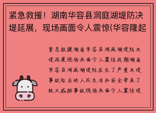 紧急救援！湖南华容县洞庭湖堤防决堤延展，现场画面令人震惊(华容隆起被长江切穿之前)
