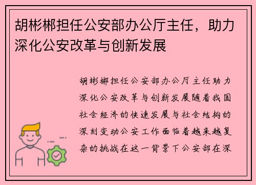 胡彬郴担任公安部办公厅主任，助力深化公安改革与创新发展