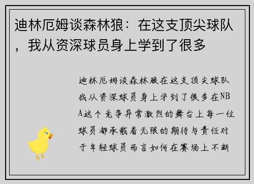 迪林厄姆谈森林狼：在这支顶尖球队，我从资深球员身上学到了很多