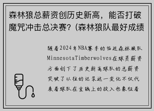 森林狼总薪资创历史新高，能否打破魔咒冲击总决赛？(森林狼队最好成绩)